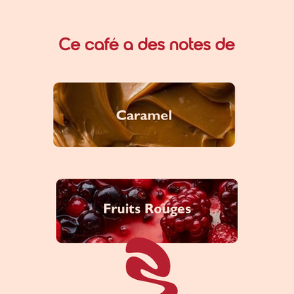 Pack Découverte (10 sachets)